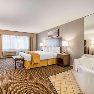 Suite Lit King-Size
